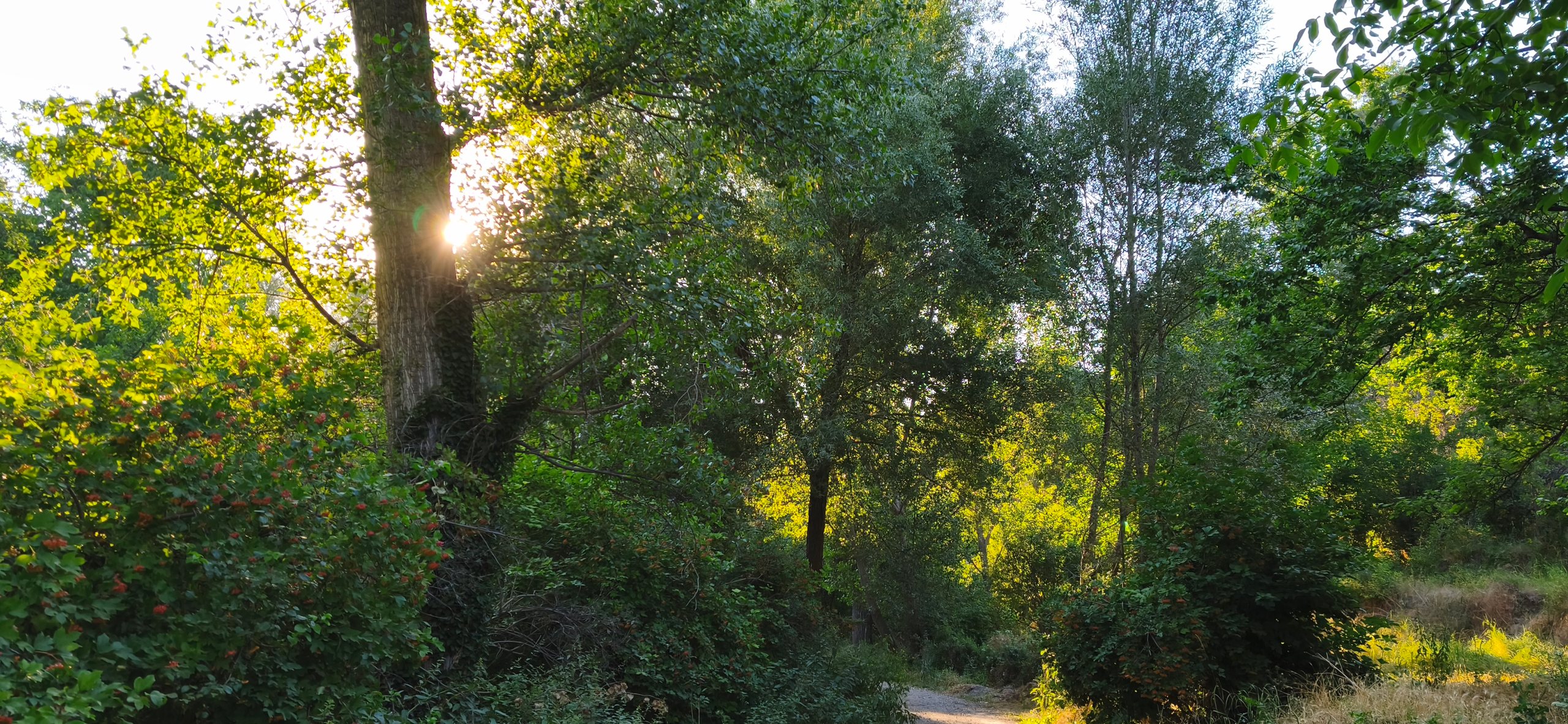 Melikgazi, Kayseri kıyısından paylaşım